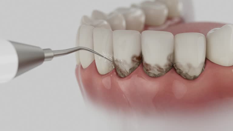 Reliable Dental contractor in Brighton, MI by Dentist Open Now